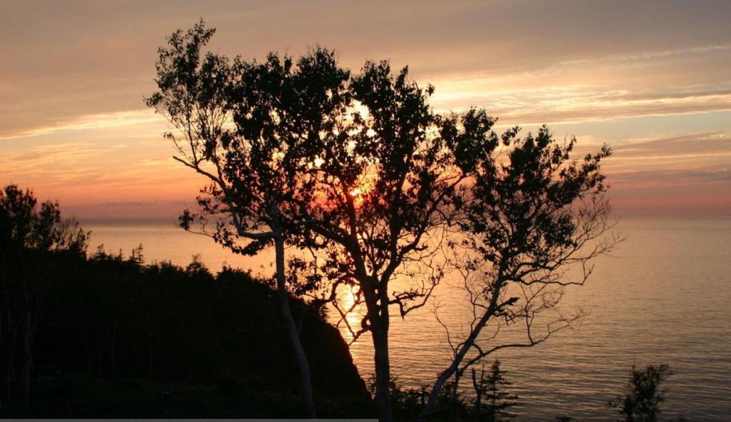 Cliffside Bed & Breakfast Culloden Dış mekan fotoğraf